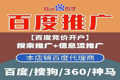 行业专家解析SEM代运营成功案例